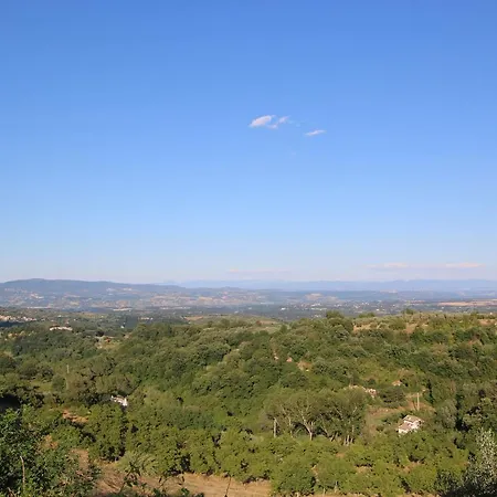 Casa Verde