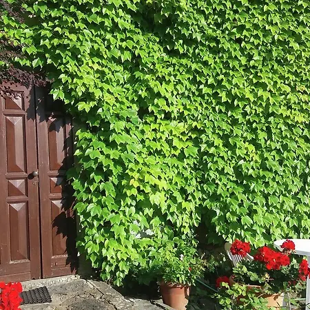 Hébergement de vacances Casa Verde *
