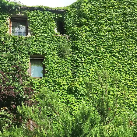 Casa Verde *